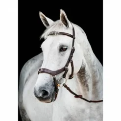 Discount Bridon Micklem 2 Multibride - Horseware Bridons Et Brides·Bridon Cuir