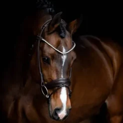 Sale Bridon RAPSODY cuir rond - - Écologique, élégant Bridons Et Brides·Bridon Anatomique|Bridons Et Brides·Bridon Licol