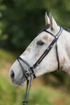 Best Bridon Regular Bridons Et Brides·Bridon Cuir