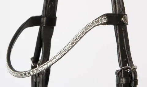 Online Bridon Rise & Shine - Harry's Horse Bridons Et Brides·Bridon Cuir