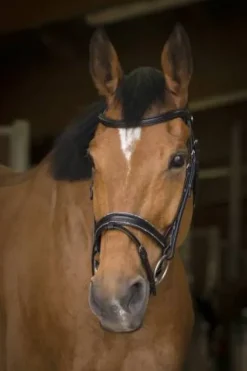 Clearance Bridon rock - Bridons Et Brides·Bridon Cuir