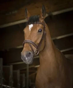 Clearance Bridon rock - Bridons Et Brides·Bridon Cuir