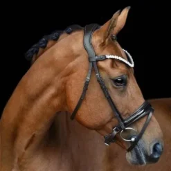 Clearance Bridon Romanov - Bridons Et Brides·Bridon Cuir