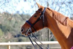 Online Bridon rose Bridons Et Brides·Bridon Cuir