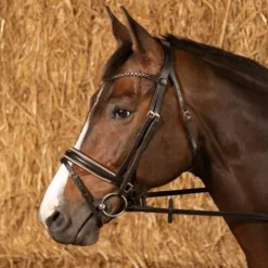Discount Bridon Rosegold Royal - Harry's Horse Bridons Et Brides·Bridon Cuir