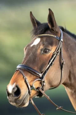 Outlet Bridon Shiny Bridons Et Brides·Bridon Cuir