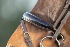 Outlet Bridon Shiny Bridons Et Brides·Bridon Cuir