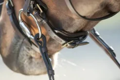 Outlet Bridon Shiny Bridons Et Brides·Bridon Cuir