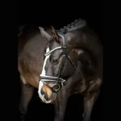 Discount Bridon Silvano doublé blanc - Bridons Et Brides·Bridon Cuir