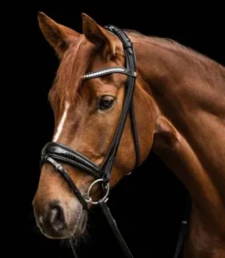 Sale Bridon S-Line Magic Bridons Et Brides·Bridon Cuir