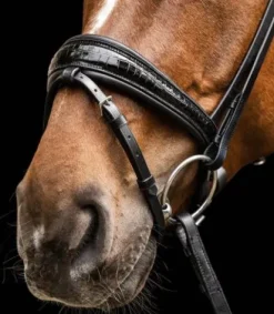 Sale Bridon S-Line Magic Bridons Et Brides·Bridon Cuir