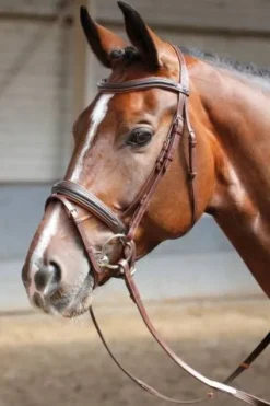 Hot Bridon Soft - HARRY'S HORSE - Muserolle pull-back Bridons Et Brides·Bridon Cuir