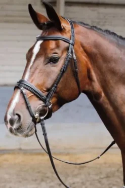 Hot Bridon Soft - HARRY'S HORSE - Muserolle pull-back Bridons Et Brides·Bridon Cuir