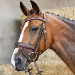 Online Bridon Soft Bombastic Crystals - HARRY'S HORSE Bridons Et Brides·Bridon Anatomique|Bridons Et Brides·Bridon Cuir