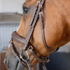 Online Bridon Soft Bombastic Crystals - HARRY'S HORSE Bridons Et Brides·Bridon Anatomique|Bridons Et Brides·Bridon Cuir