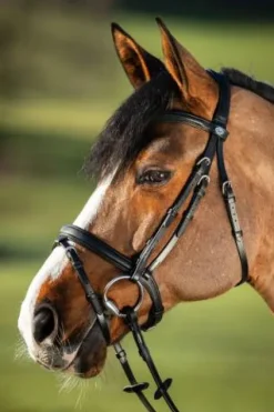 Hot Bridon Soft Bridons Et Brides·Bridon Cuir