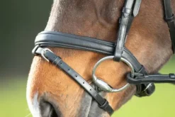 Hot Bridon Soft Bridons Et Brides·Bridon Cuir