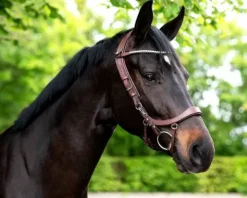 New Bridon technique Faysport Bridons Et Brides·Bridon Cuir