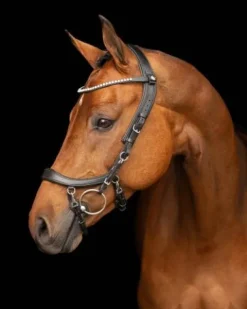 New Bridon technique Faysport Bridons Et Brides·Bridon Cuir