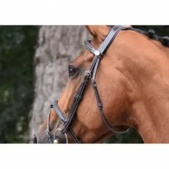 Hot Bridon Thursday muserolle combinée - Collection Week - Bridons Et Brides·Bridon Cuir