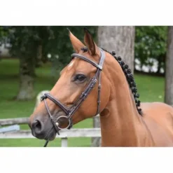 Hot Bridon Thursday muserolle combinée - Collection Week - Bridons Et Brides·Bridon Cuir