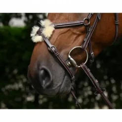 Hot Bridon Thursday muserolle combinée - Collection Week - Bridons Et Brides·Bridon Cuir