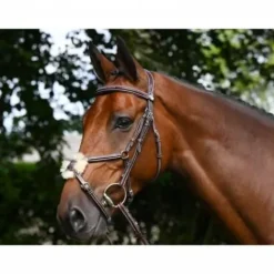 Hot Bridon Thursday muserolle combinée - Collection Week - Bridons Et Brides·Bridon Cuir