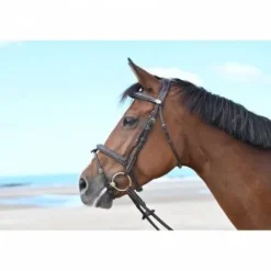 Online Bridon Tuesday muserolle combinée - Collection Week - Bridons Et Brides·Bridon Cuir