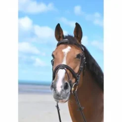 Online Bridon Tuesday muserolle combinée - Collection Week - Bridons Et Brides·Bridon Cuir