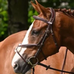 Online Bridon Tuesday muserolle combinée - Collection Week - Bridons Et Brides·Bridon Cuir