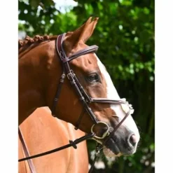 Online Bridon Tuesday muserolle combinée - Collection Week - Bridons Et Brides·Bridon Cuir