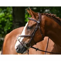 Online Bridon Tuesday muserolle combinée - Collection Week - Bridons Et Brides·Bridon Cuir