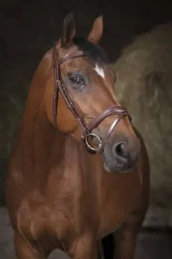 Online Bridon vague - Bridons Et Brides·Bridon Cuir