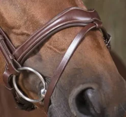 Online Bridon vague - Bridons Et Brides·Bridon Cuir