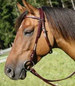 Discount Bridon Western Virginia Bridons Western