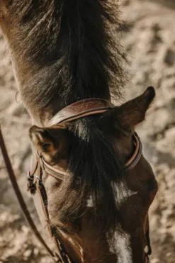 Discount Bridon Work - Bridons Et Brides·Bridon Cuir