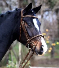 Hot Bridon X-Line Santander Bridons Et Brides·Bridon Anatomique|Bridons Et Brides·Bridon Cuir