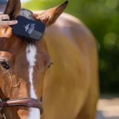 Discount Brosse à crins noir Brosses Pour Les Crins