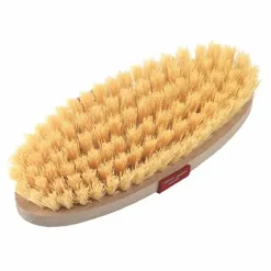 New Brosse à poils dure avec dos en bois Bouchons De Pansage