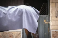 Outlet Carré Wooltouch Paddock Sport (2 coloris) Couvertures Cheval