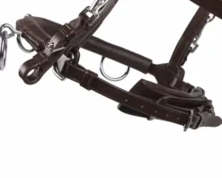 Hot Caveçon en cuir Caveçons