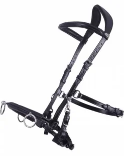 Hot Caveçon en cuir Caveçons