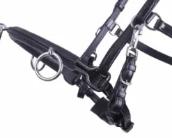 Hot Caveçon en cuir Caveçons