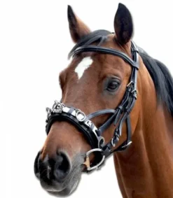 Hot Caveçon en Cuir Caveçons