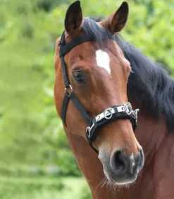 Hot Caveçon nylon Caveçons