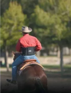 Best Ceinture lombaire en néoprène pour cavalier - Pro-Choice Autres Protections·Ceinture Lombaire