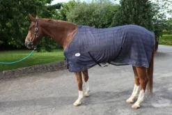 Online Chemise anti-mouches soft  pour shetland Chemises Anti-Mouches|Chemises Cheval