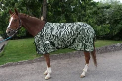 Chemise anti-mouches zébré Chemises Anti-Mouches|Chemises Cheval