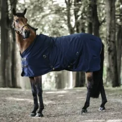 Clearance Chemise coton - Kentucky Chemises Cheval