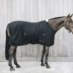 Online Chemise coton - Kentucky Chemises Cheval